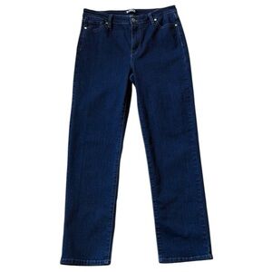 Buffalo David Bittman Alyssa Jean Hi-Rise Dark Blue Straight Stretch Size 8/29